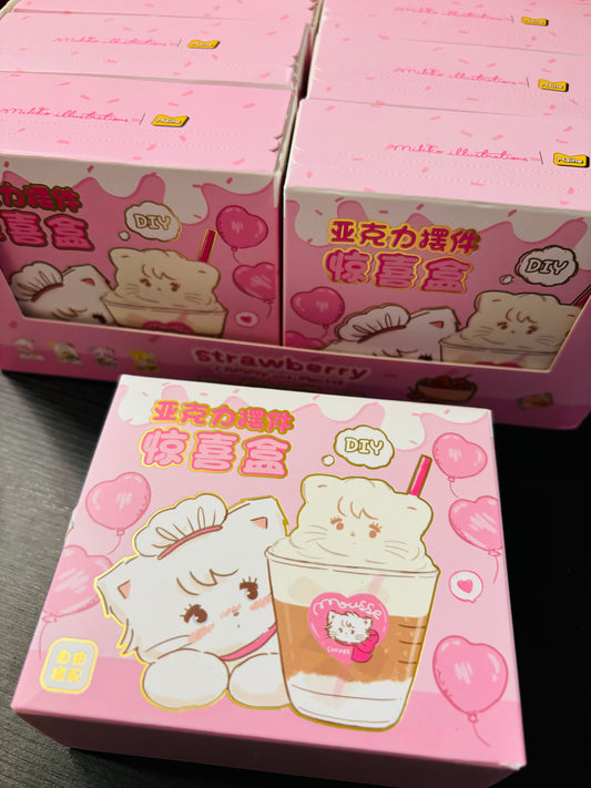 Cute Mikko Acrylic Display Decoration Blind Box