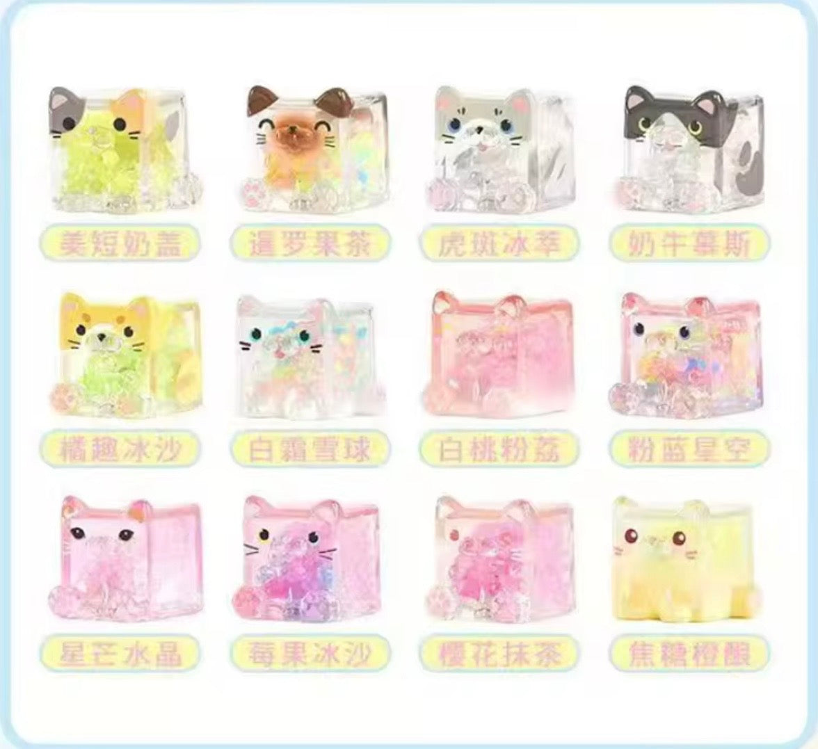 Choco Teddy Square Cat LED Light Blind Box
