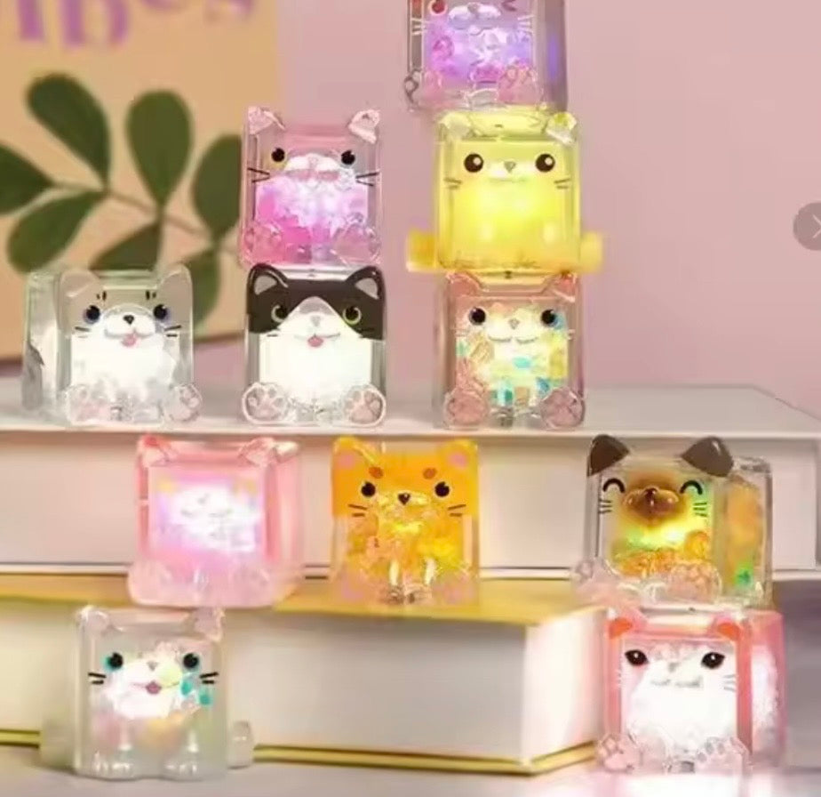 Choco Teddy Square Cat LED Light Blind Box