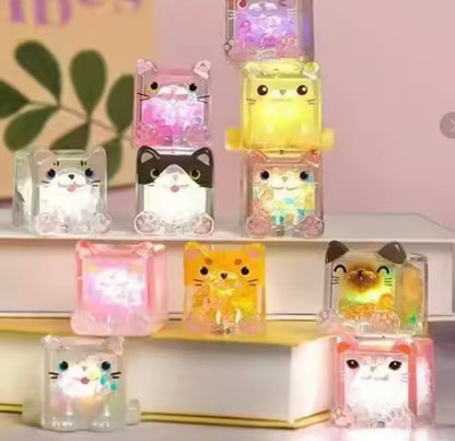 Choco Teddy Square Cat LED Light Blind Box