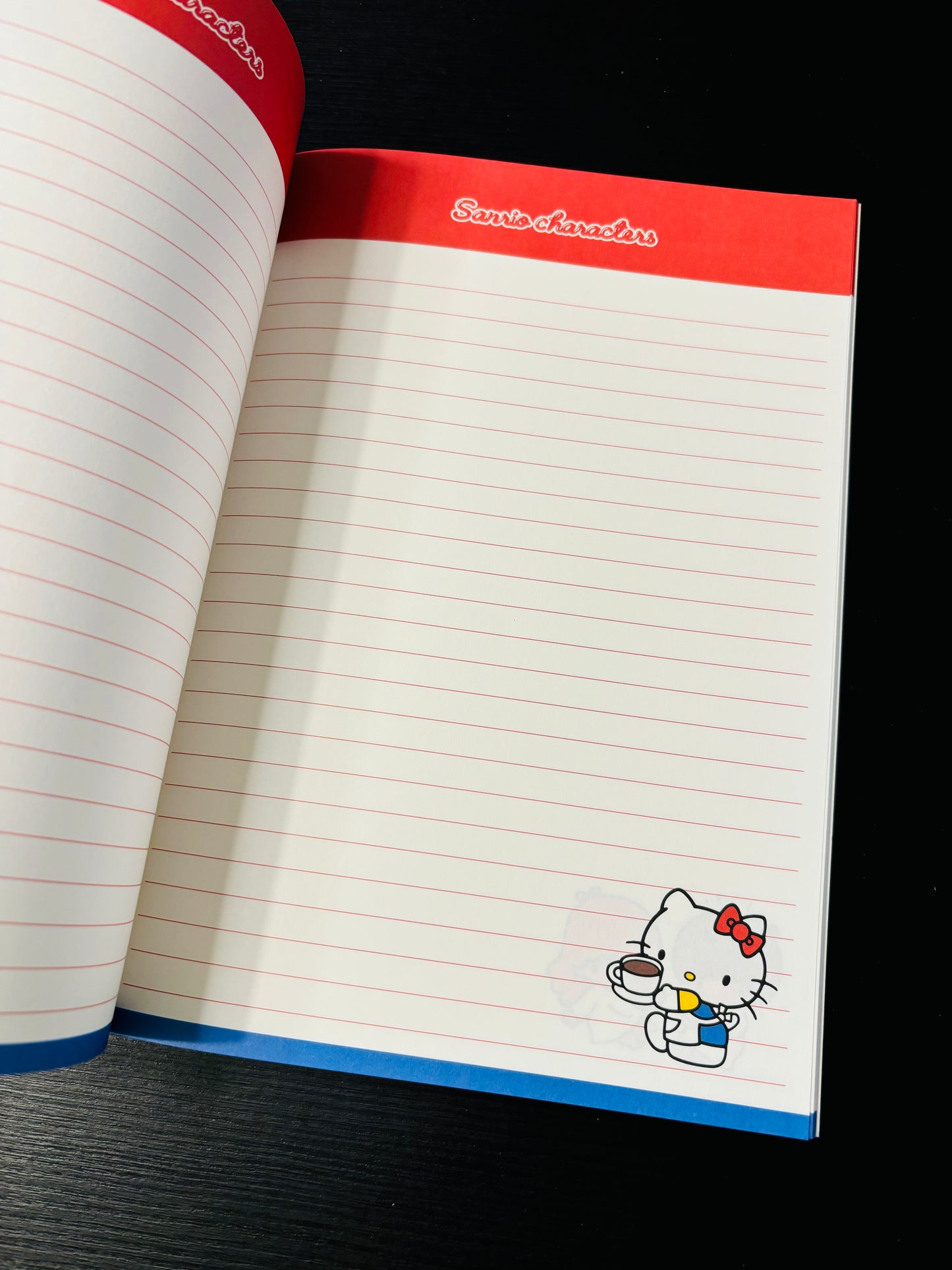 Large Colourful Page Notebooks