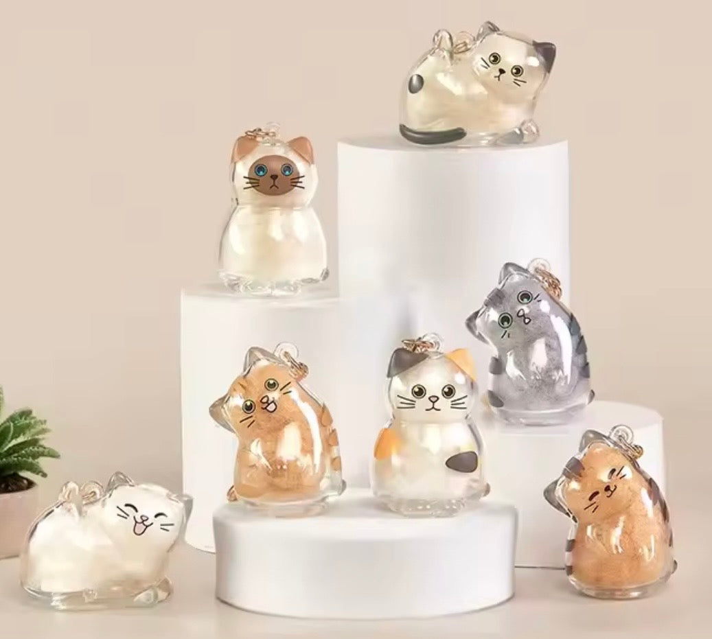 Cat Loves You Pet Hair Collection Blind Box